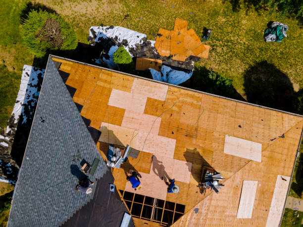 Best Metal Roofing Contractor  in South Park, WY