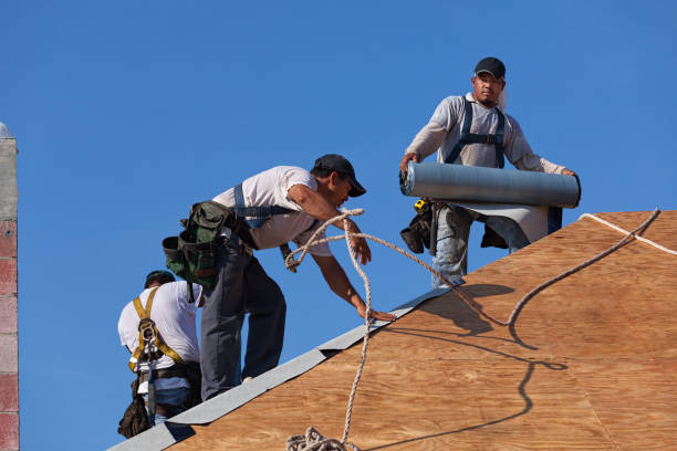 Best Roof Maintenance Services  in South Park, WY